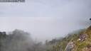 ./images/calvert/foggy-cove/20260622/foggy-cove20260622_170501M.jpg