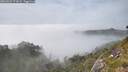 ./images/calvert/foggy-cove/20260622/foggy-cove20260622_171001M.jpg