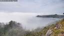 ./images/calvert/foggy-cove/20260622/foggy-cove20260622_172001M.jpg