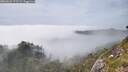./images/calvert/foggy-cove/20260622/foggy-cove20260622_172501M.jpg