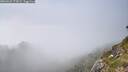 ./images/calvert/foggy-cove/20260622/foggy-cove20260622_173001M.jpg