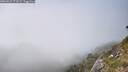 ./images/calvert/foggy-cove/20260622/foggy-cove20260622_173501M.jpg