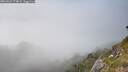 ./images/calvert/foggy-cove/20260622/foggy-cove20260622_174001M.jpg