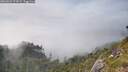 ./images/calvert/foggy-cove/20260622/foggy-cove20260622_174501M.jpg