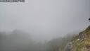 ./images/calvert/foggy-cove/20260622/foggy-cove20260622_183001M.jpg