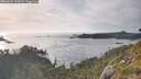 ./images/calvert/foggy-cove/20260622/foggy-cove20260622_193002M.jpg