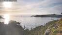 ./images/calvert/foggy-cove/20260622/foggy-cove20260622_202001M.jpg