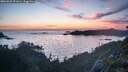 ./images/calvert/foggy-cove/20260622/foggy-cove20260622_221001M.jpg