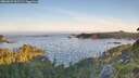 ./images/calvert/foggy-cove/20260623/foggy-cove20260623_061502M.jpg