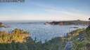 ./images/calvert/foggy-cove/20260623/foggy-cove20260623_063501M.jpg