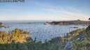 ./images/calvert/foggy-cove/20260623/foggy-cove20260623_064001M.jpg