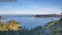 ./images/calvert/foggy-cove/20260623/foggy-cove20260623_064501M.jpg