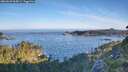 ./images/calvert/foggy-cove/20260623/foggy-cove20260623_065001M.jpg