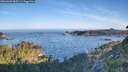 ./images/calvert/foggy-cove/20260623/foggy-cove20260623_065501M.jpg
