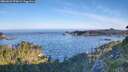 ./images/calvert/foggy-cove/20260623/foggy-cove20260623_070002M.jpg