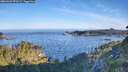 ./images/calvert/foggy-cove/20260623/foggy-cove20260623_070501M.jpg