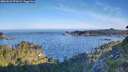 ./images/calvert/foggy-cove/20260623/foggy-cove20260623_071002M.jpg