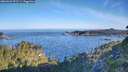 ./images/calvert/foggy-cove/20260623/foggy-cove20260623_072501M.jpg