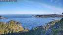 ./images/calvert/foggy-cove/20260623/foggy-cove20260623_073001M.jpg