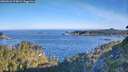./images/calvert/foggy-cove/20260623/foggy-cove20260623_074002M.jpg