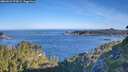 ./images/calvert/foggy-cove/20260623/foggy-cove20260623_075002M.jpg