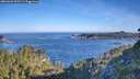 ./images/calvert/foggy-cove/20260623/foggy-cove20260623_075501M.jpg