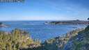 ./images/calvert/foggy-cove/20260623/foggy-cove20260623_080001M.jpg