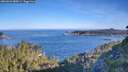 ./images/calvert/foggy-cove/20260623/foggy-cove20260623_080501M.jpg
