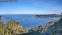 ./images/calvert/foggy-cove/20260623/foggy-cove20260623_081001M.jpg