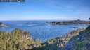 ./images/calvert/foggy-cove/20260623/foggy-cove20260623_081501M.jpg