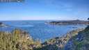 ./images/calvert/foggy-cove/20260623/foggy-cove20260623_082501M.jpg