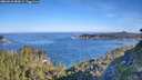 ./images/calvert/foggy-cove/20260623/foggy-cove20260623_083001M.jpg