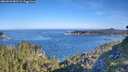 ./images/calvert/foggy-cove/20260623/foggy-cove20260623_083501M.jpg