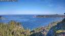 ./images/calvert/foggy-cove/20260623/foggy-cove20260623_085001M.jpg