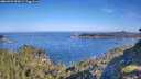 ./images/calvert/foggy-cove/20260623/foggy-cove20260623_090001M.jpg
