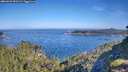 ./images/calvert/foggy-cove/20260623/foggy-cove20260623_090501M.jpg
