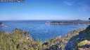 ./images/calvert/foggy-cove/20260623/foggy-cove20260623_092001M.jpg
