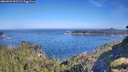 ./images/calvert/foggy-cove/20260623/foggy-cove20260623_092501M.jpg
