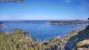 ./images/calvert/foggy-cove/20260623/foggy-cove20260623_093501M.jpg