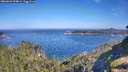 ./images/calvert/foggy-cove/20260623/foggy-cove20260623_094001M.jpg