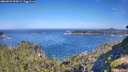 ./images/calvert/foggy-cove/20260623/foggy-cove20260623_094501M.jpg