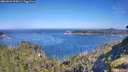 ./images/calvert/foggy-cove/20260623/foggy-cove20260623_095001M.jpg