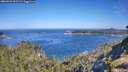 ./images/calvert/foggy-cove/20260623/foggy-cove20260623_095501M.jpg