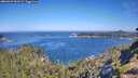./images/calvert/foggy-cove/20260623/foggy-cove20260623_100501M.jpg