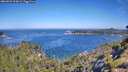 ./images/calvert/foggy-cove/20260623/foggy-cove20260623_102001M.jpg