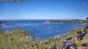 ./images/calvert/foggy-cove/20260623/foggy-cove20260623_104002M.jpg
