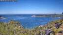./images/calvert/foggy-cove/20260623/foggy-cove20260623_105501M.jpg