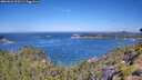 ./images/calvert/foggy-cove/20260623/foggy-cove20260623_110501M.jpg