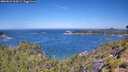 ./images/calvert/foggy-cove/20260623/foggy-cove20260623_112001M.jpg
