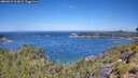 ./images/calvert/foggy-cove/20260623/foggy-cove20260623_113001M.jpg